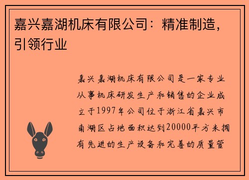 嘉兴嘉湖机床有限公司：精准制造，引领行业